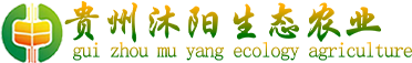 网站Logo